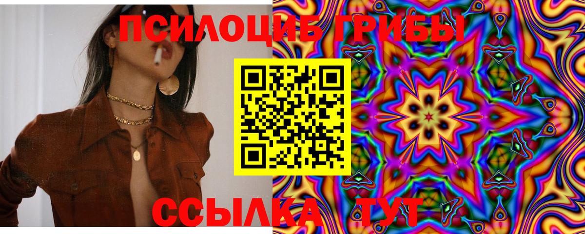 Асбест  Галлюциногенные грибы Cubensis  Вход с VPN 