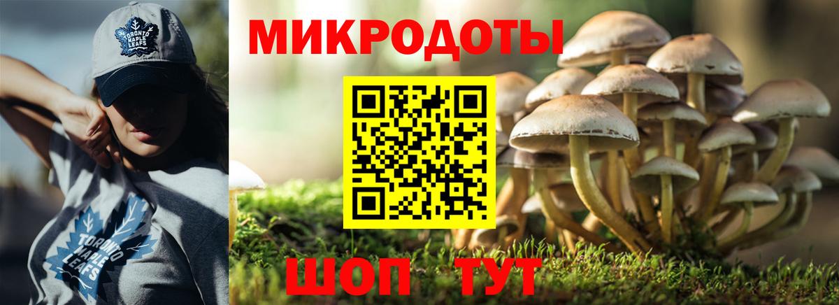 Псилоцибиновые грибы Psilocybine cubensis Асбест